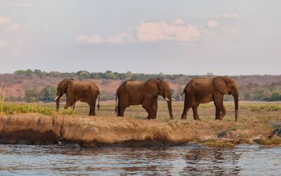 October–November Highlights: Hendrik Adventure Tours 2025 Travel Recap